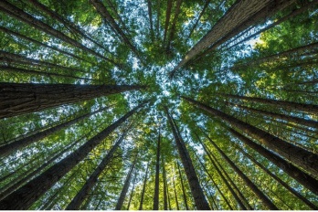 小米照片设为私密后损坏怎么办