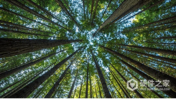 小米照片设为私密后损坏怎么办