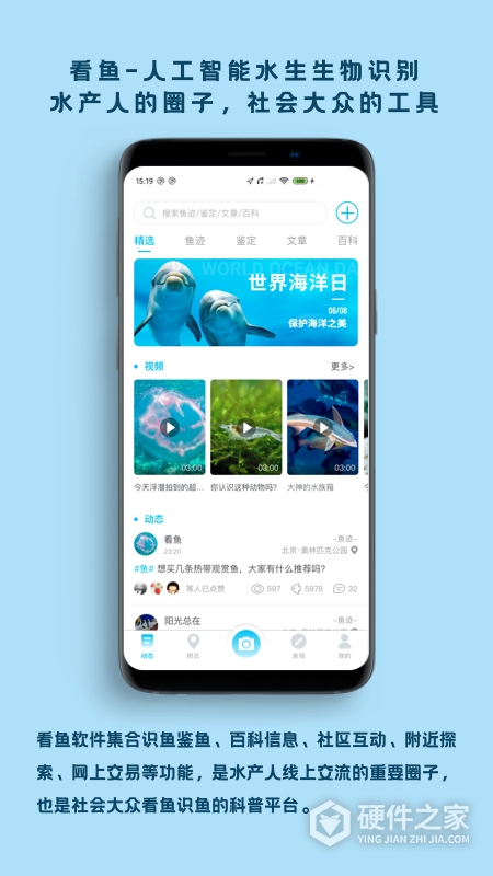 看鱼