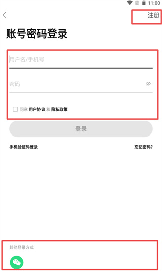 蒲公英