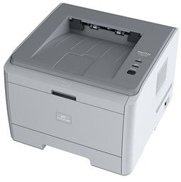 奔图Pantum P9502DN（专用版）打印机驱动for Win XP/7/8/10