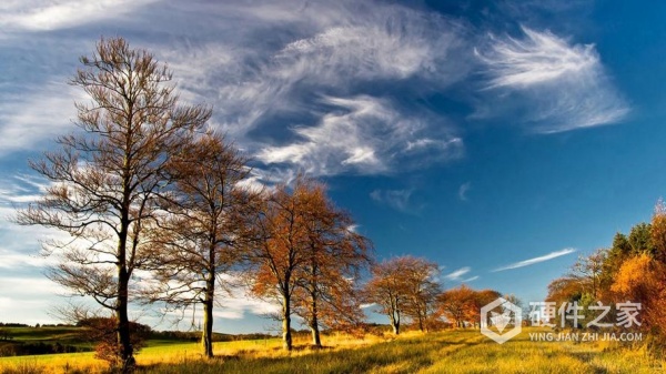 佳能相机不小心格式化了照片是否能恢复