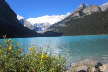 vivo手机相册隐藏的照片怎么找