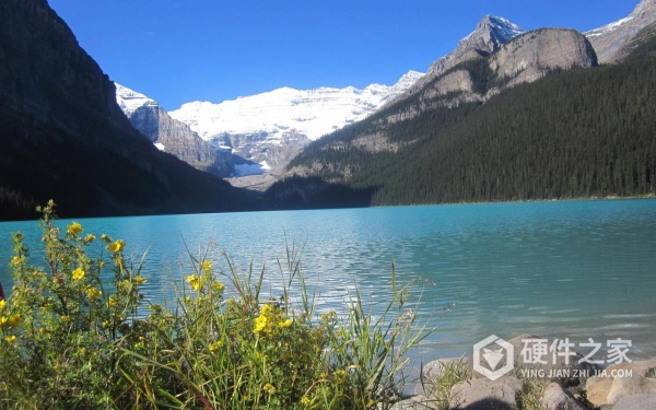 vivo手机相册隐藏的照片怎么找