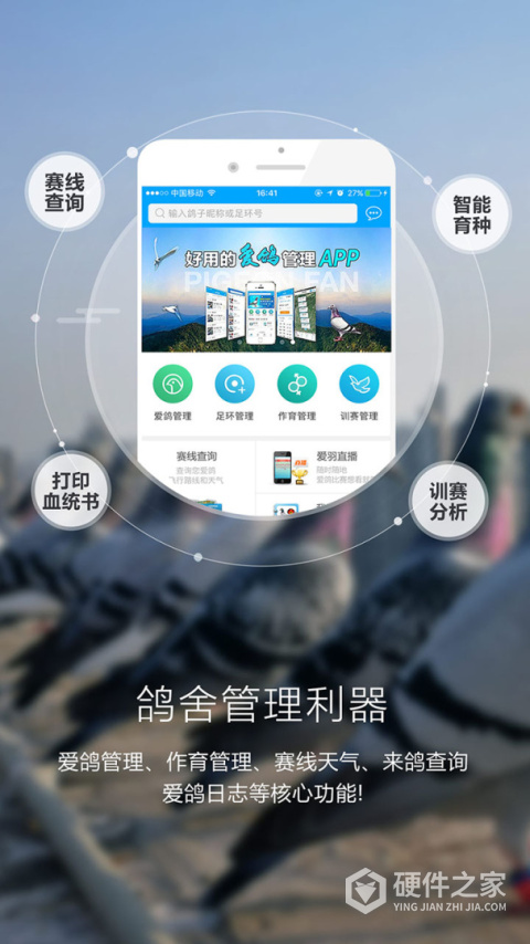 爱鸽者软件
