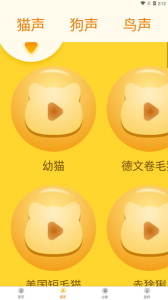 宠物翻译器
