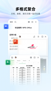 WPS Office