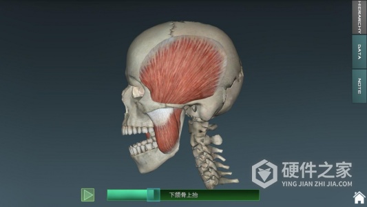 人体解剖学图集