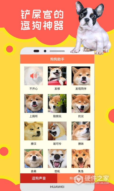狗狗助手