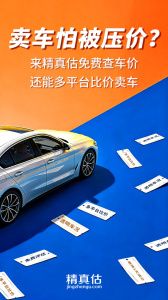 精真估二手车