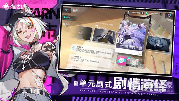 猫之城网易版