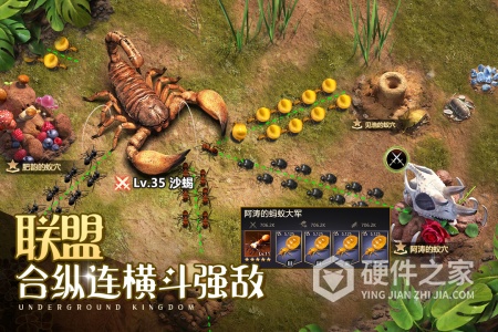 小小蚁国内测版