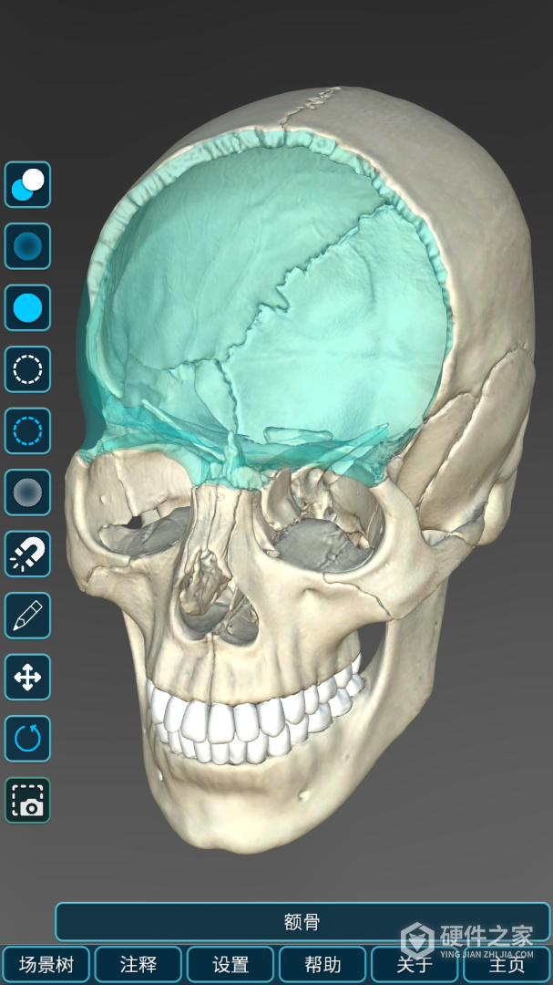 人体解剖学图集