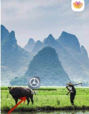 荣耀60pro微信视频美颜怎么设置