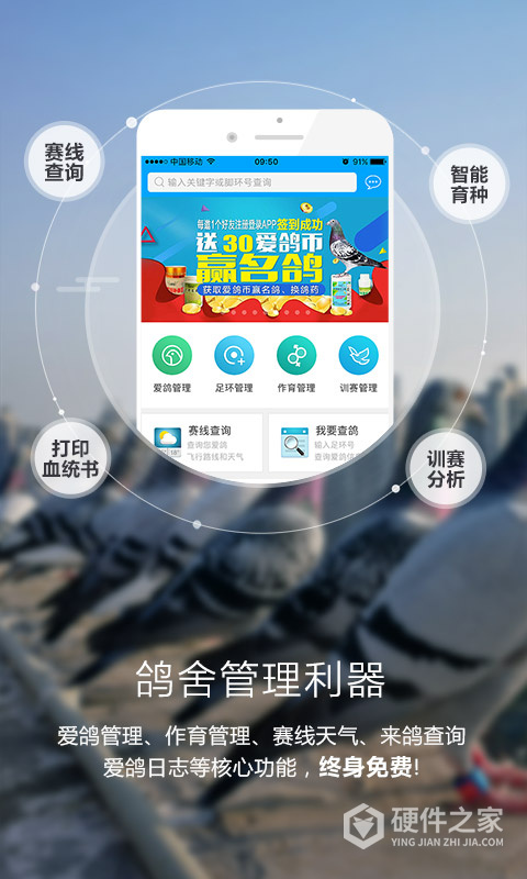 爱鸽者软件