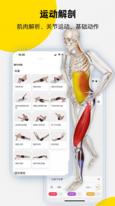 3DBody解剖