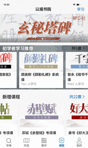 以观书法
