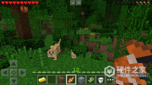 我的世界中国版中文版