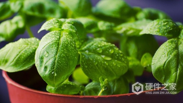 win7恢复u盘数据方法