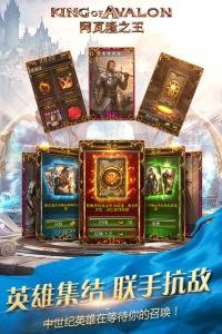 阿瓦隆之王测试服