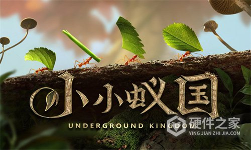 小小蚁国手机版
