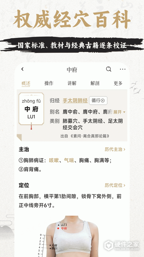 中济经络穴位