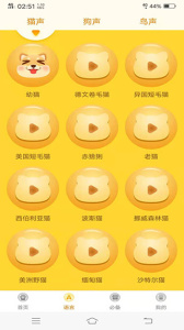 宠物翻译器