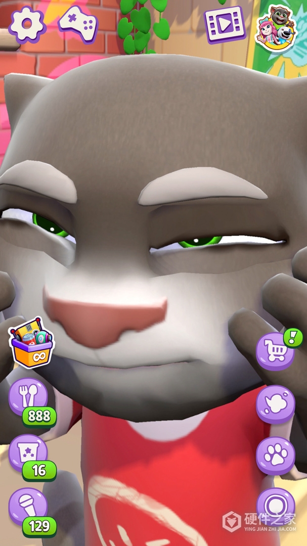 会说话的汤姆猫