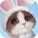 我和我的猫完整版