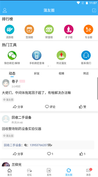 蒲公英
