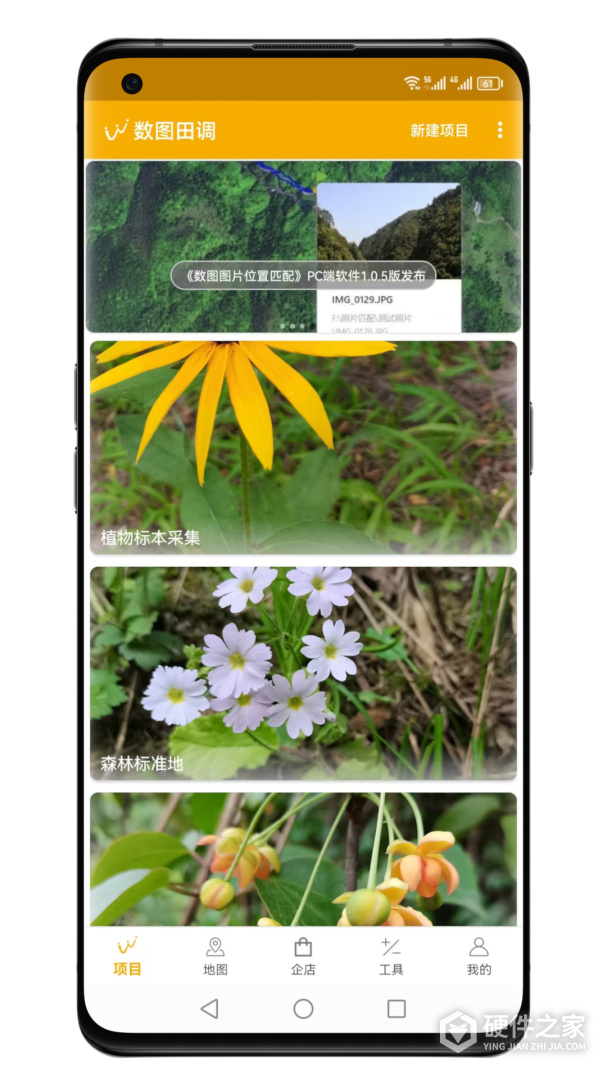 数图