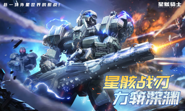 星骸骑士官方版