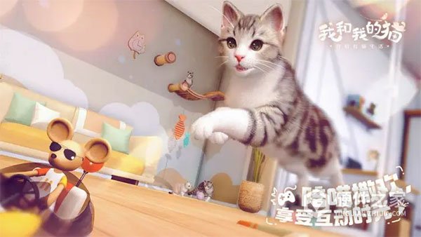 我和我的猫完整版
