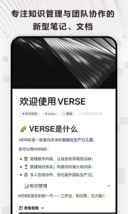 Verse