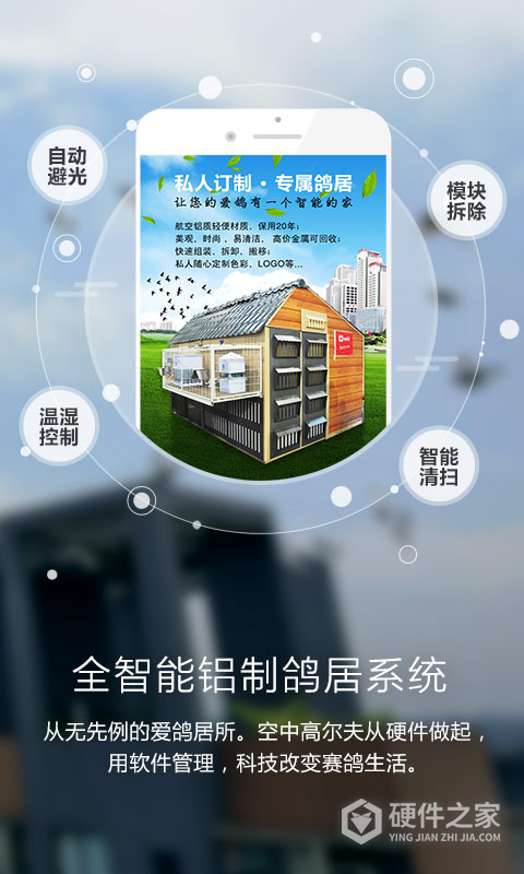 爱鸽者软件