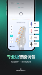 恩雅音乐