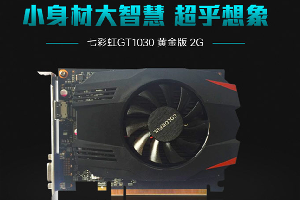 七彩虹gt1030黄金版2g能玩什么