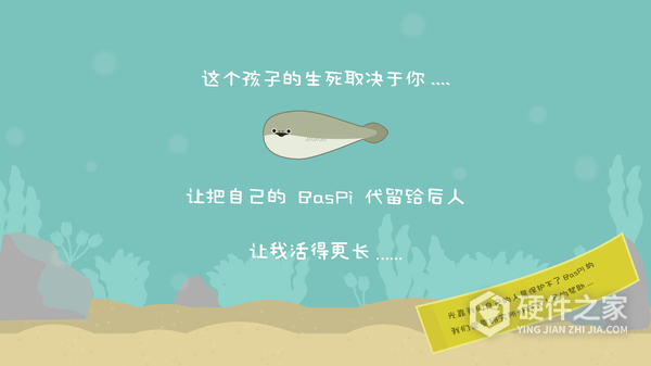 虚无鱼BasPi