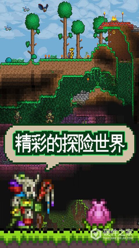 泰拉瑞亚台服