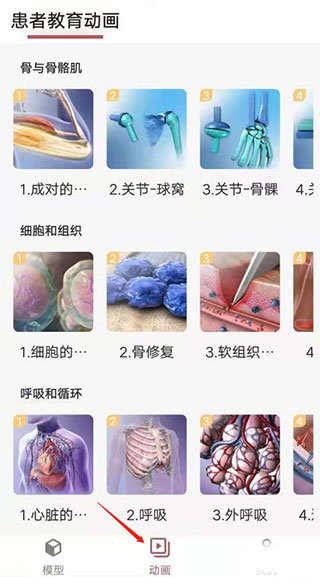 3Dbody解剖app