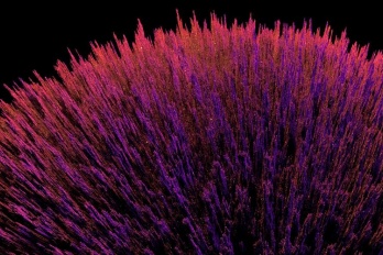 u盘照片恢复数据怎么恢复