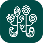 野兽派APP