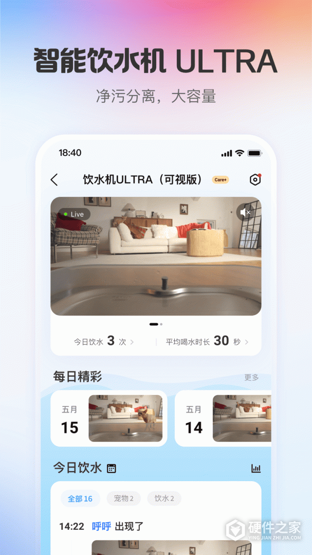 小佩宠物