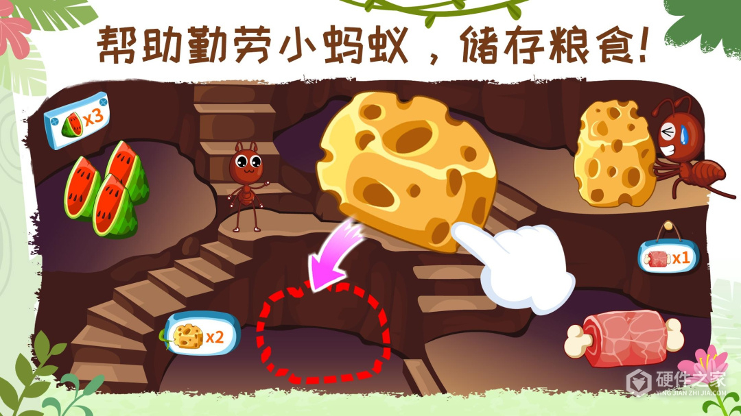 奇妙昆虫世界