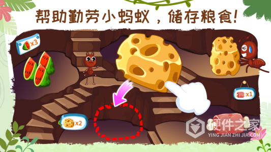 奇妙昆虫世界
