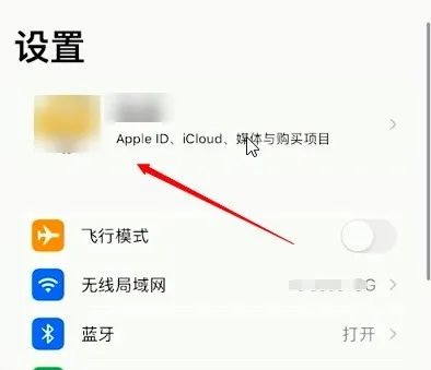 iOS系统如何关闭App自动续费