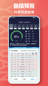 鱼喜团