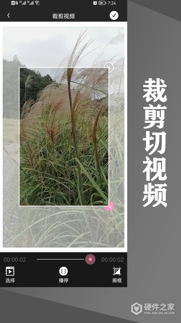 水印王