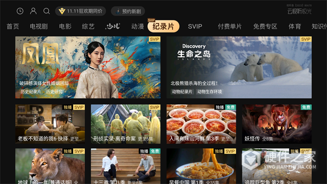 云视听极光