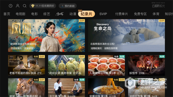 云视听极光极速版免费版